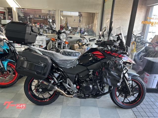 Ｖ−ストローム２５０