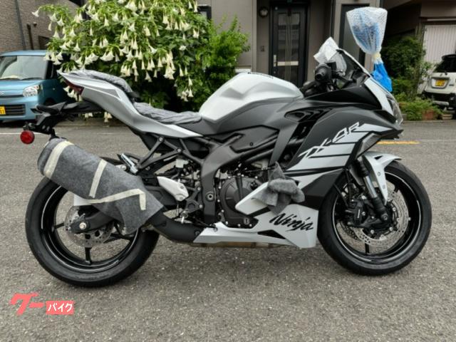 Ｎｉｎｊａ　ＺＸ−４Ｒ　ＳＥ