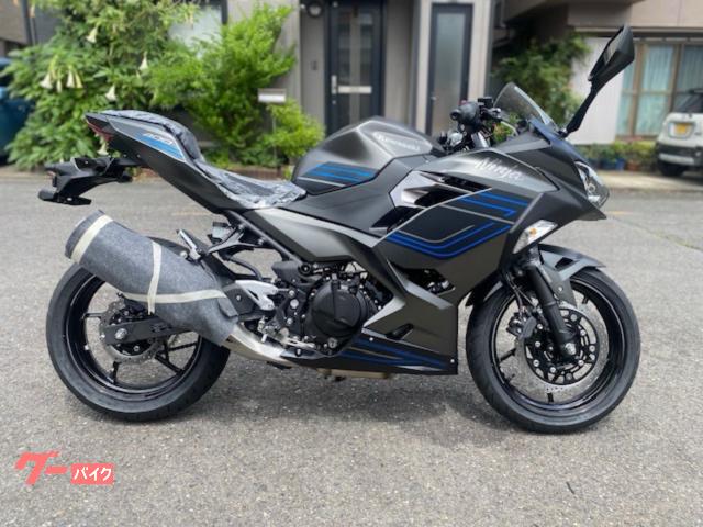 Ｎｉｎｊａ　４００