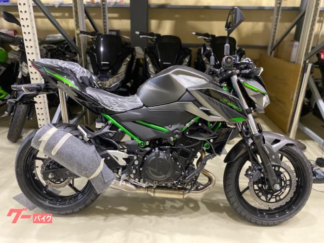 Ｚ２５０