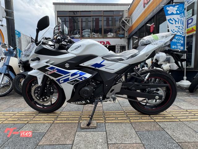 ＧＳＸ２５０Ｒ