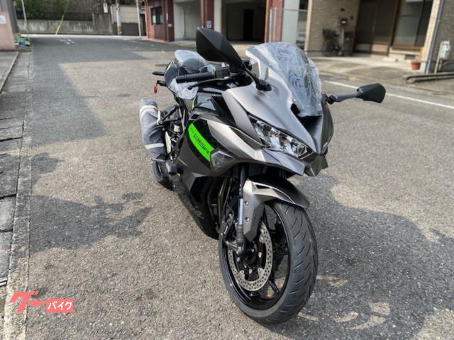 ぐーぐれ Amazon | 【SUKIRACING】カーボンスイングアームカバー 対応車種