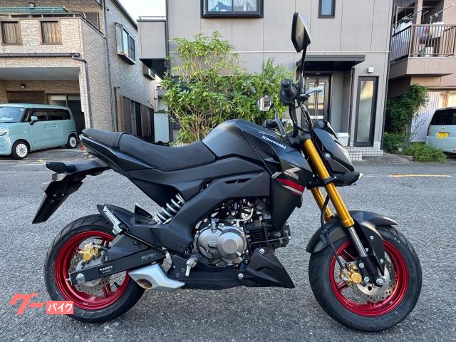 Ｚ１２５ＰＲＯ