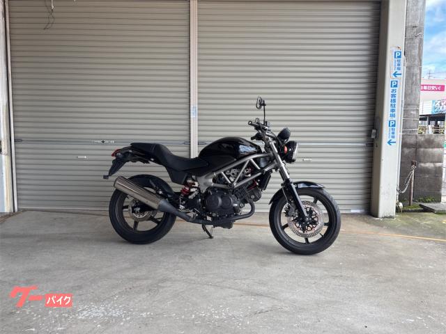 ＶＴＲ２５０