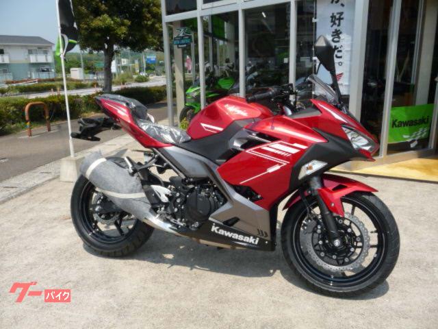 Ｎｉｎｊａ　２５０　２０２２年モデル　キャンディパーシモンレッド／メタリックグラファイトグレー　３７ｐｓ