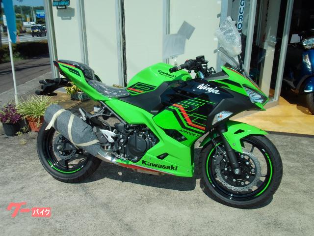 Ｎｉｎｊａ　２５０