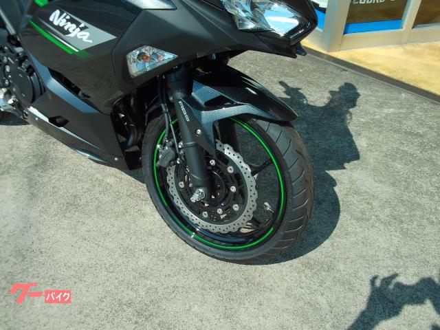 ninja250タンク EX250Y メタリックカーボングレー NEW 2021 KAWASAKI NINJA 250 - New Kawasaki Ninja 250 2021