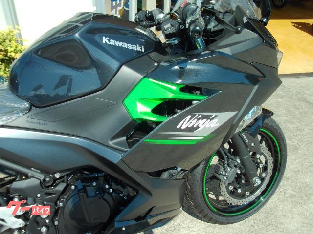カワサキ Ninja 250 メタリックカーボングレー