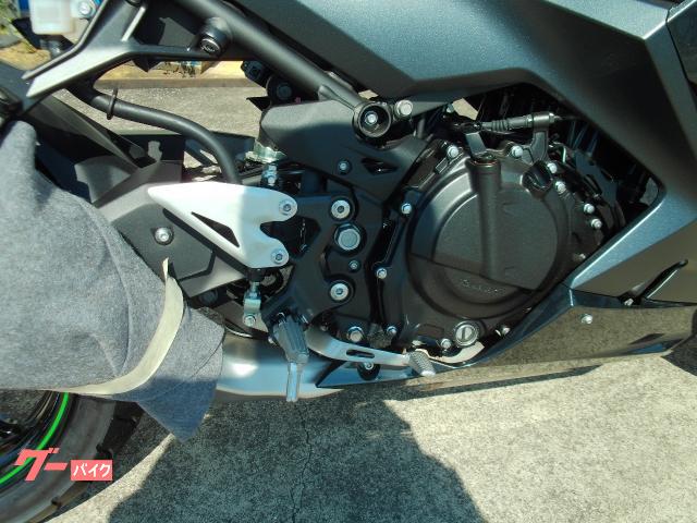 カワサキ Ninja 250 メタリックカーボングレー
