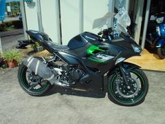 カワサキ　Ｎｉｎｊａ　２５０　メタリックカーボングレー／メタリックマットカーボングレー