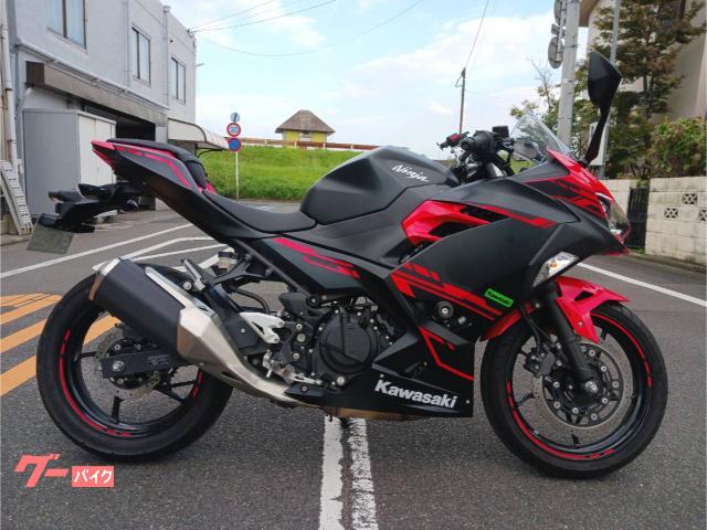 Ｎｉｎｊａ２５０で熱いパッションを感じたい人はグリーンじゃなくてレッドで決まりやね！