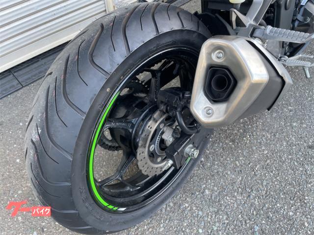 カワサキ Ninja 250 KRT Winter Test