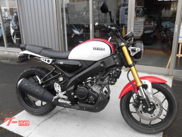 ＸＳＲ１５５　フェンダーレス　社外レバー　ミラー　エンドキャップ