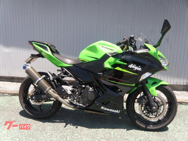 Ｎｉｎｊａ　２５０　ＫＲＴ　　Ｅｄｉｔｉｏｎ　サイレンサー　ＡＢＳ　フェンダーレス