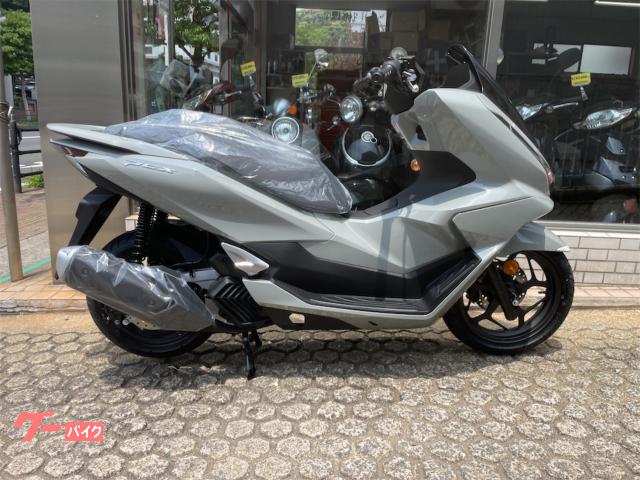 ＰＣＸ１２５　　２０２５年式ＮＥＷモデルパールジュピターグレー