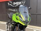 タイガースポーツ660／ルーレットグリーン