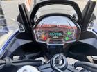 タイガースポーツ800