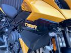 タイガースポーツ800