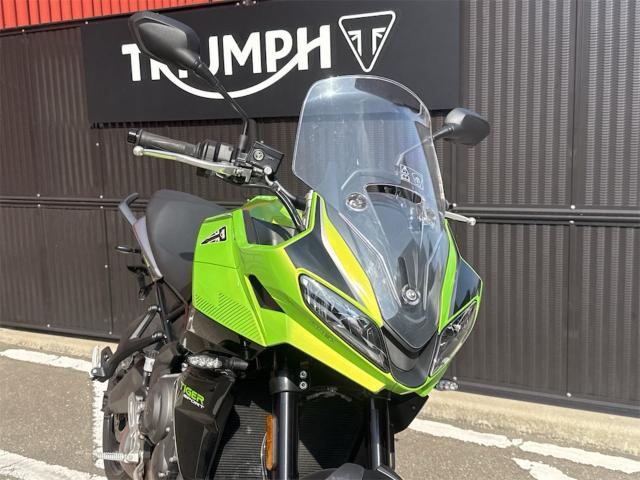 タイガースポーツ660／ルーレットグリーン