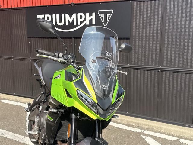 タイガースポーツ660／ルーレットグリーン