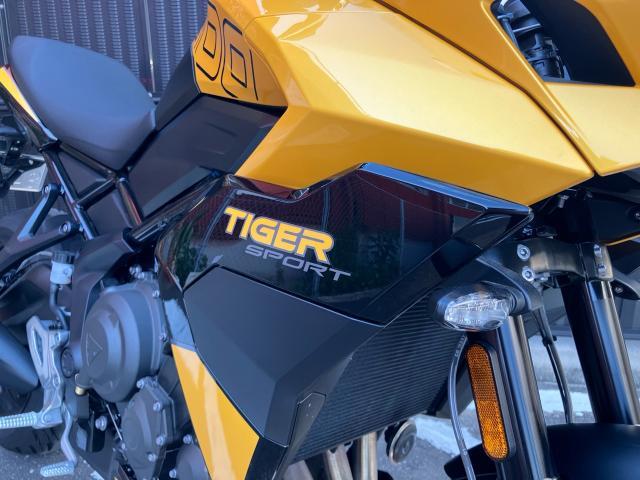 タイガースポーツ800