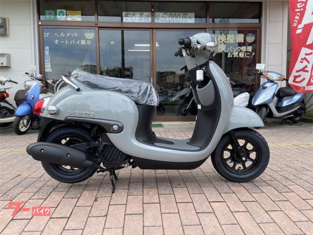 ジョルノ　ＡＦ７７　インジェクションモデル　パールディープグレー