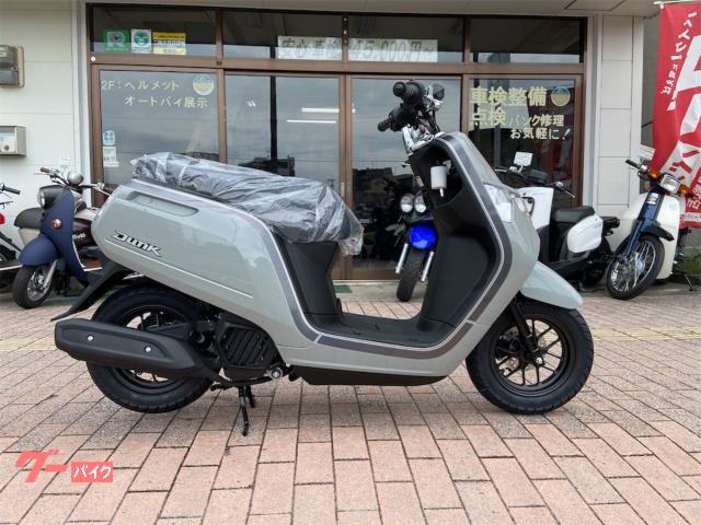 ダンク　ＡＦ７８　インジェクションモデル　パールディープマッドグレー