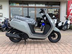 ホンダ　ダンク　ＡＦ７８　インジェクションモデル　パールディープマッドグレー