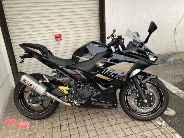 Ｎｉｎｊａ　２５０　ヨシムラサイレンサー　フェンダーレス