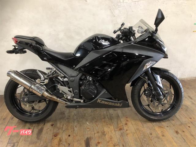 Ｎｉｎｊａ　２５０