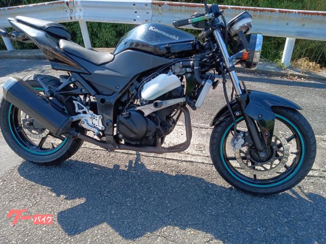 Ｎｉｎｊａ　２５０