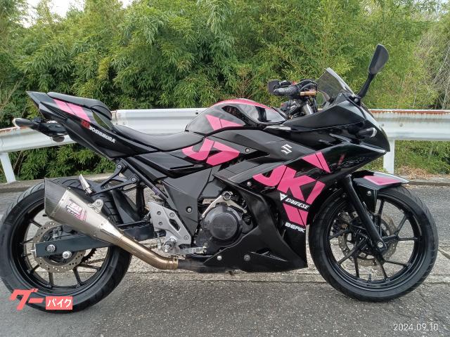 ＧＳＸ２５０Ｒ