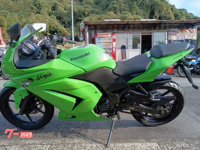 Ｎｉｎｊａ　２５０Ｒ−フロント及びリヤデスク−リヤタイヤ−バッテリー新品交換済み。