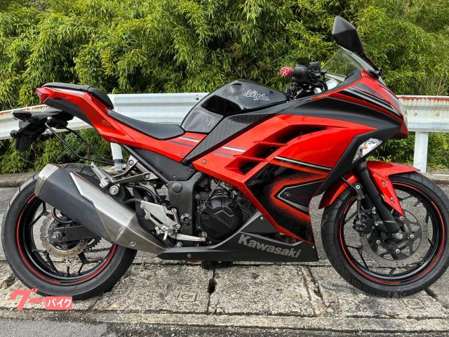 Ｎｉｎｊａ　２５０