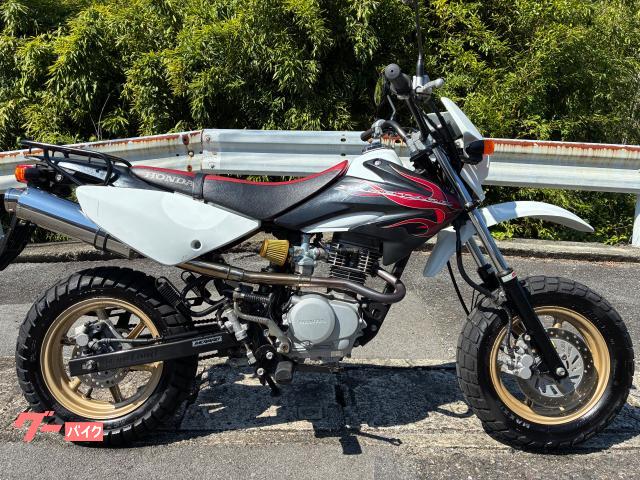 ＸＲ１００　モタード
