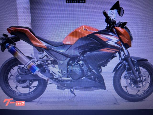 Ｎｉｎｊａ　２５０Ｒ