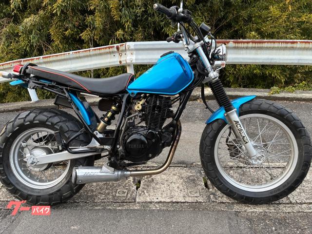 ＴＷ２２５Ｅ・走行距離少なめ．フルカスタム車★