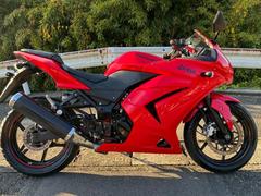 カワサキ　Ｎｉｎｊａ　２５０Ｒノーマル車。