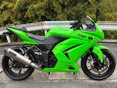 カワサキ　Ｎｉｎｊａ　２５０Ｒノーマル車、