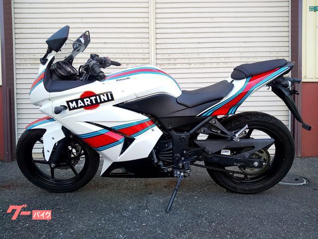 Ninja 250R カスタムカラーリング 社外マフラー