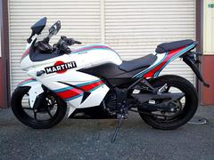 カワサキ　Ｎｉｎｊａ　２５０Ｒ