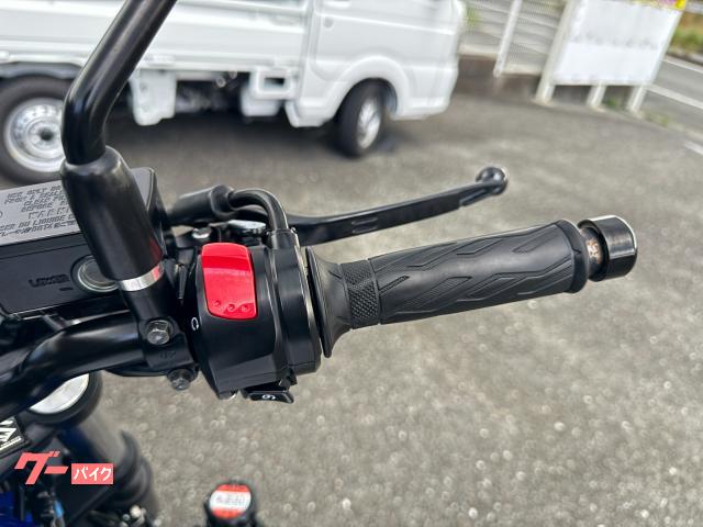 楼*蘭様 SWEET TONE SV650 4/4 SUZUKI Releases New Color Scheme for the SV650 and SV650X