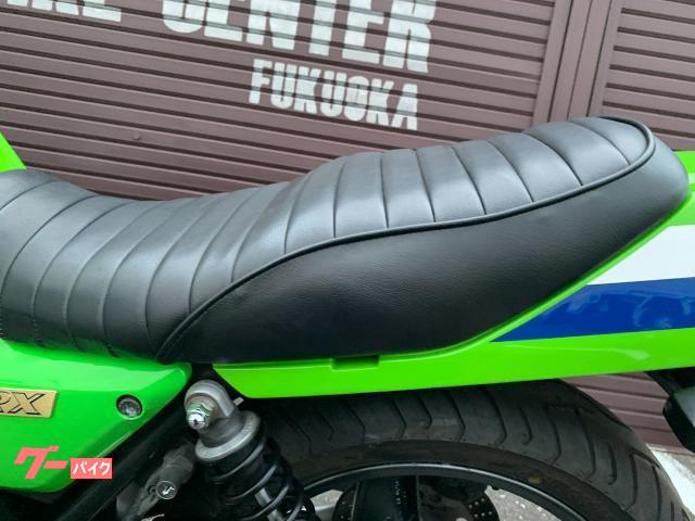 カワサキ ZRX400 ストライカーバックステップ BEETカバー
