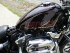 ＨＡＲＬＥＹ－ＤＡＶＩＤＳＯＮ ＸＬ１２００Ｔ　スーパーローの画像（長崎県