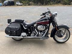 ＨＡＲＬＥＹ−ＤＡＶＩＤＳＯＮ　ＦＬＳＴＳＣ　スプリンガークラシック