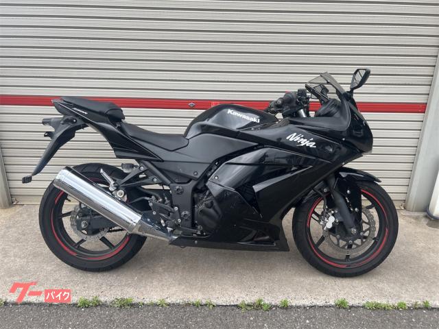 Ｎｉｎｊａ　２５０Ｒ　インジェクション