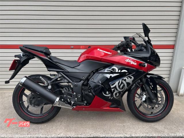 Ｎｉｎｊａ　２５０Ｒ　スペシャルエディション　インジェクション　ノーマル車両