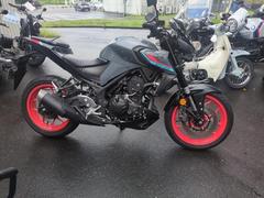 ヤマハ　ＭＴ−２５Ａ