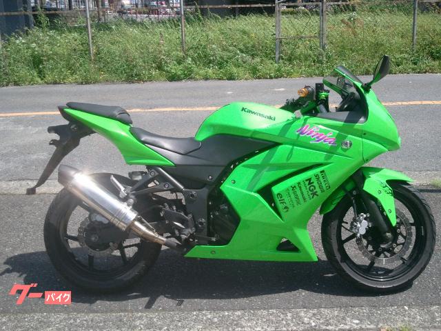Ｎｉｎｊａ　２５０Ｒ　マフラー・ＬＥＤライト・カスタムレバー