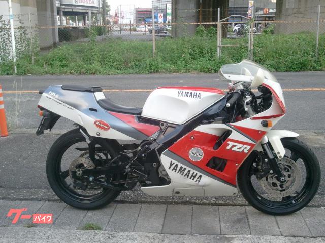 ＴＺＲ２５０　３ＸＶ倒立フォーク仕様